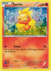 Torchic - фото №3
