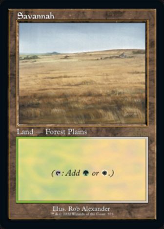 Savannah - фото №1