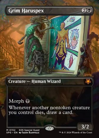 Безжалостная Гадательница / Grim Haruspex - фото №1