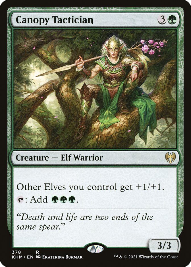 Тактик Древесных Крон / Canopy Tactician - фото №1