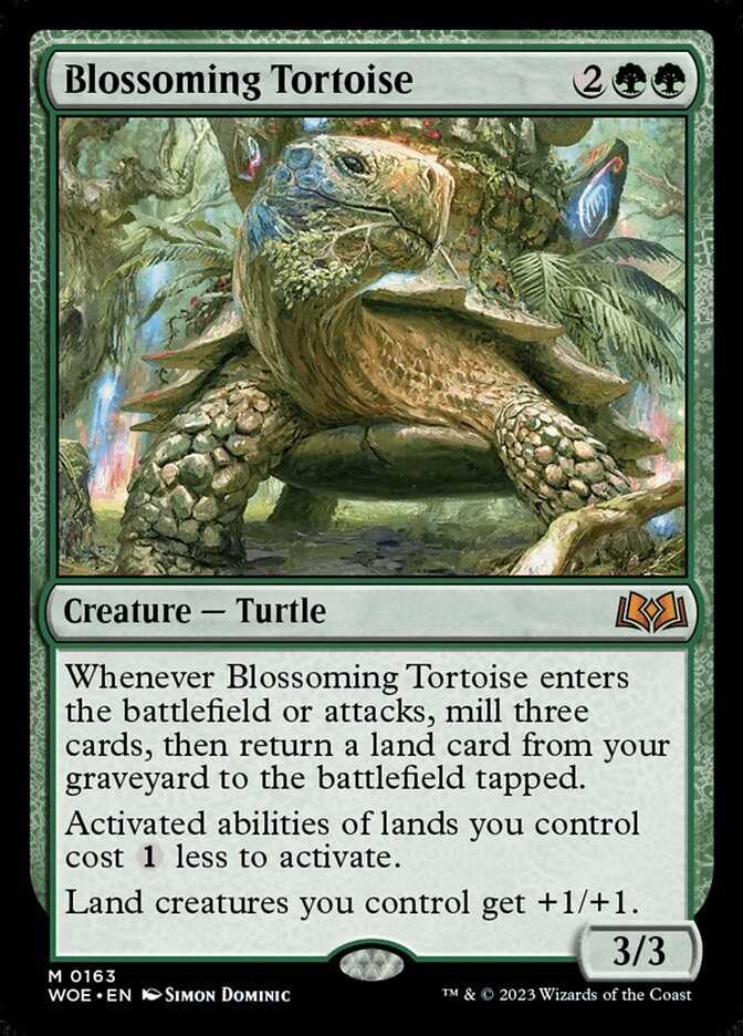 Blossoming Tortoise - фото №1