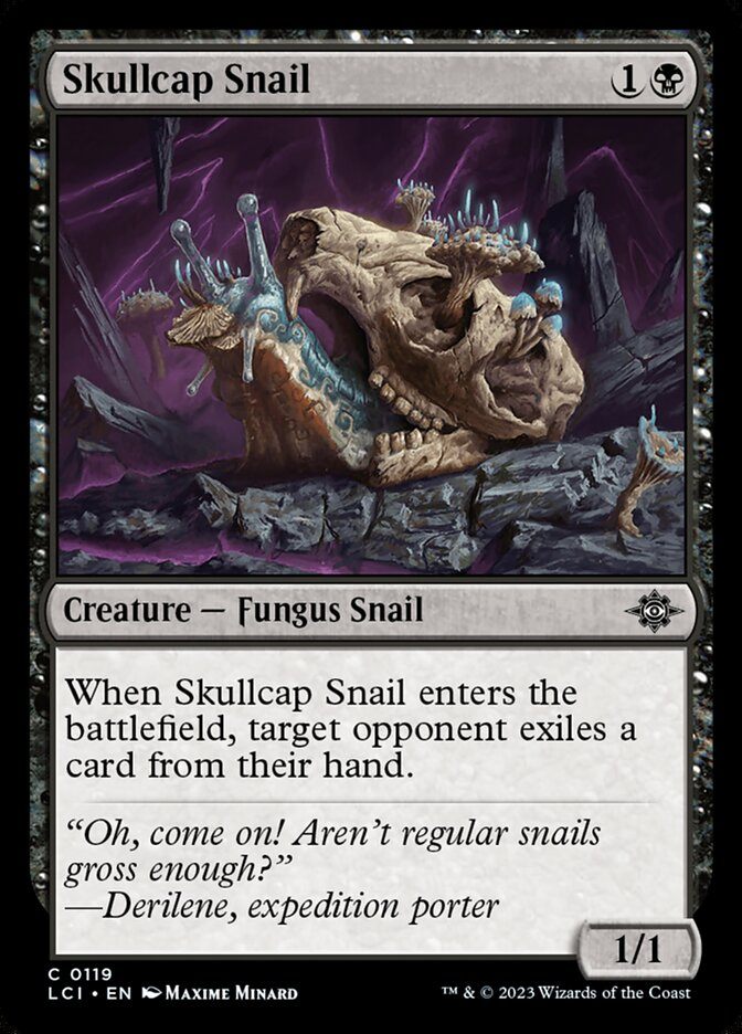 Skullcap Snail - фото №1