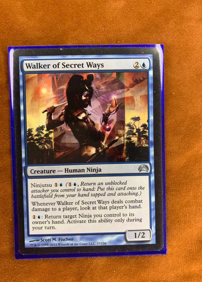 Walker of Secret Ways - фото №1