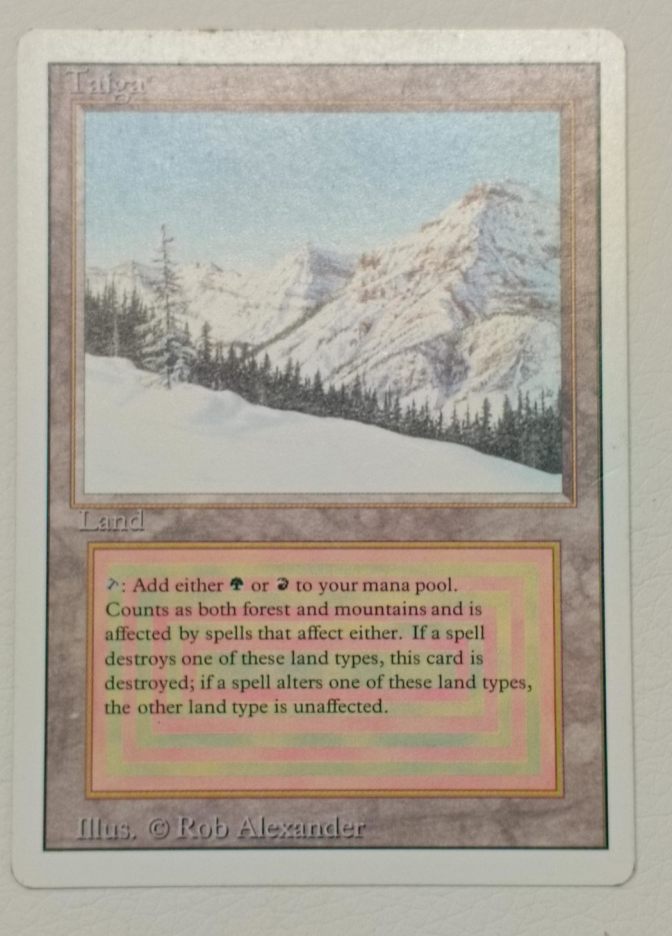 Taiga - фото №1