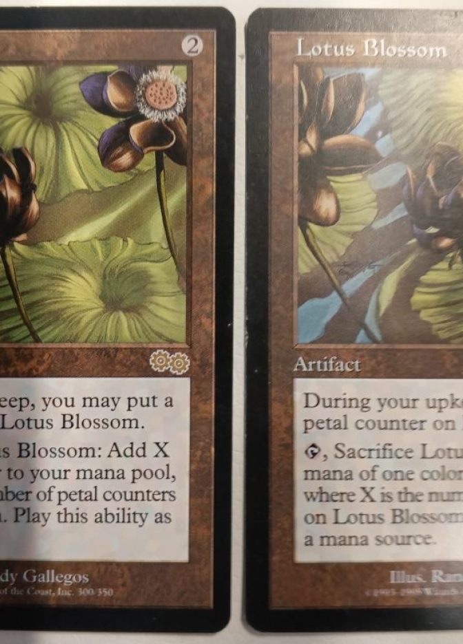 Lotus Blossom - фото №1