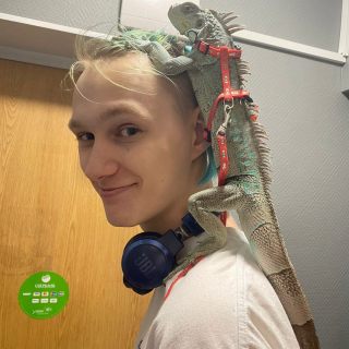 Аватар пользователя dust0000